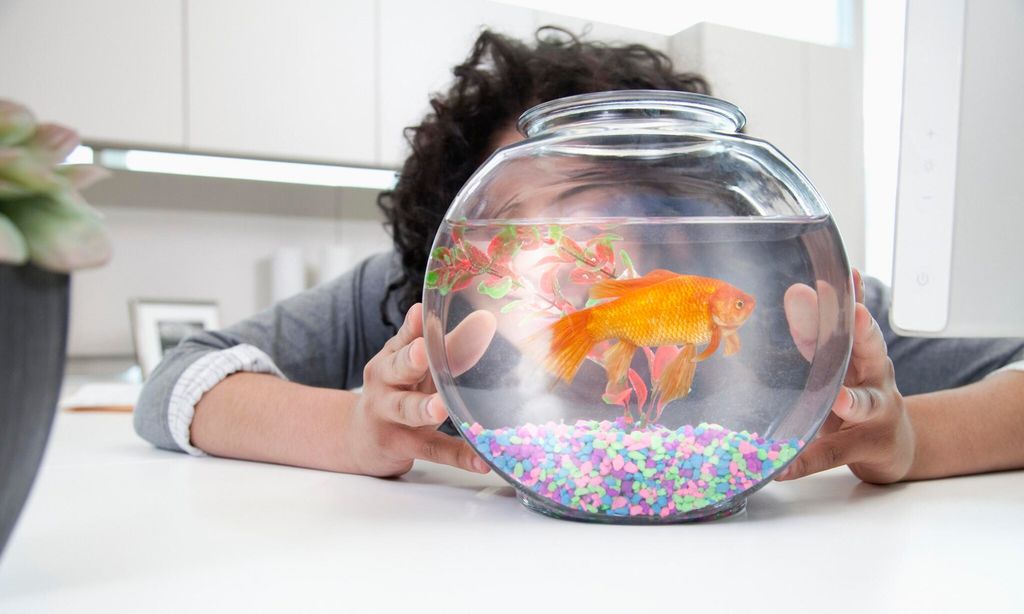 Woman holding fishbowl with gold fish
