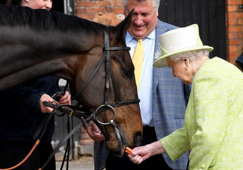 Isabel II, dando zanahorias a un caballo