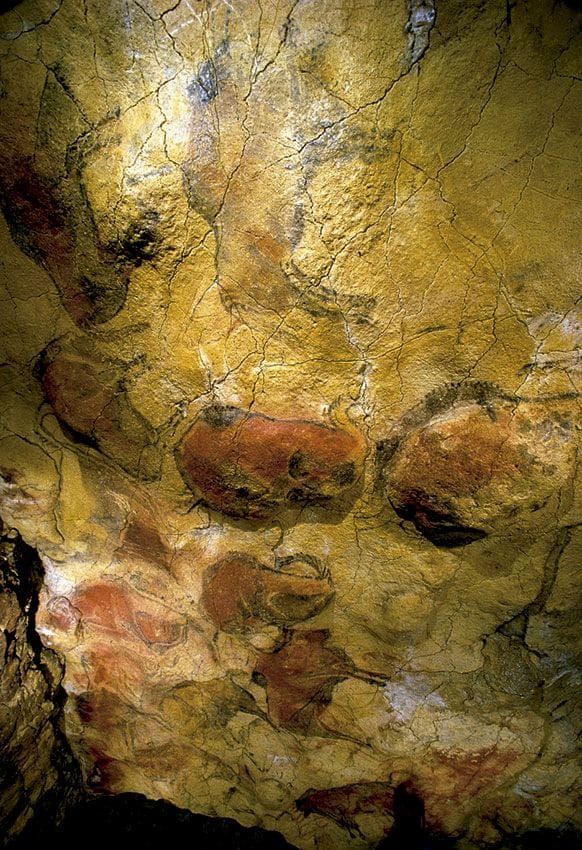 cantabria cueva Altamira Gran techo