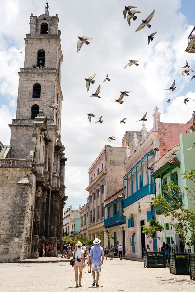 habana vieja casca