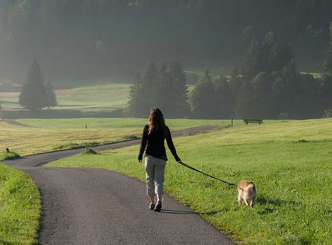 Perro paseando con su dueña