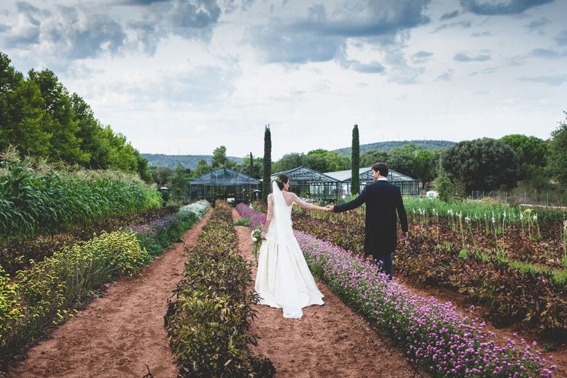 Invernaderos para bodas