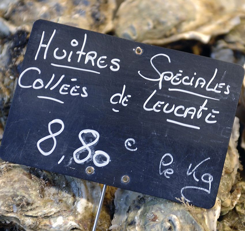 Ostras, gastronomía, mercado de Les Halles, Narbona, Francia 