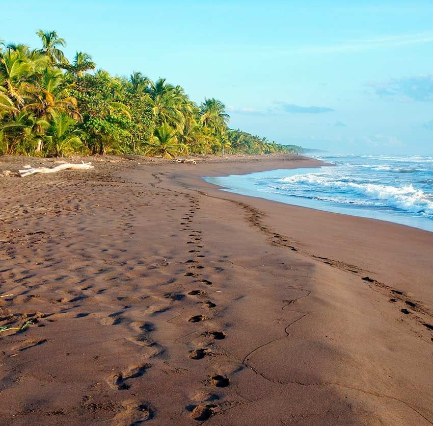 tortuguero playas