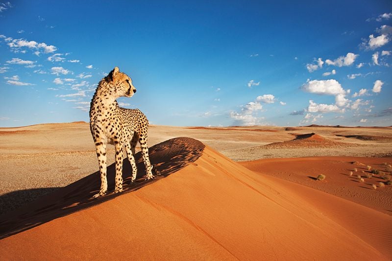 namibia