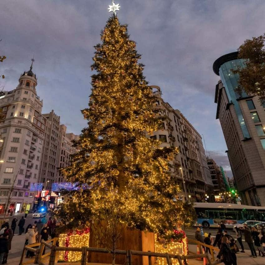 Abeto gigante iluminado con cientos de luces en la Plaza de España en su confluencia con la madrileña calle Gran Vía.