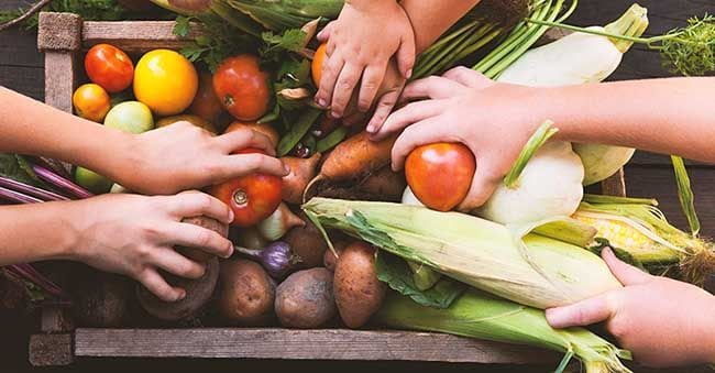 El otoño también es buena época para un plan detox 