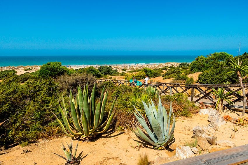 Dunas de arena que dan acceso a la playa de La Barrosa en Sancti Petri, Cádiz