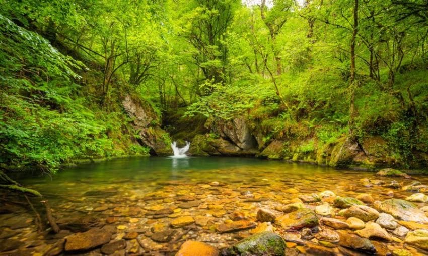 Área recreativa La Pesanca, Piloña, Asturias