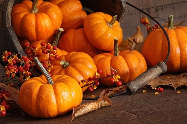 Frutas de temporada: calabazas