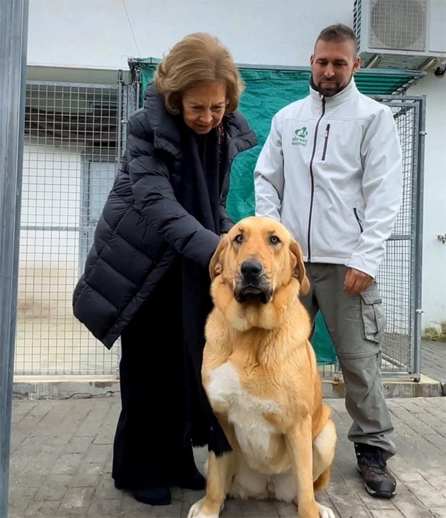 Doña Sofía acaricia a un precioso perro