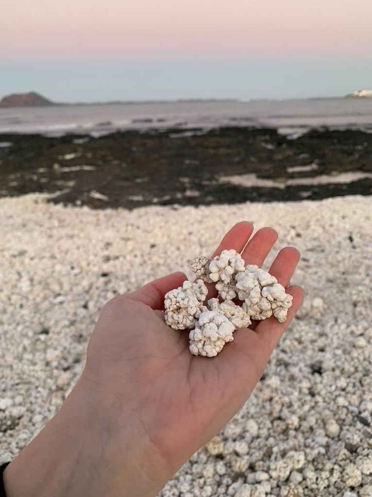 Playa Bajo de la Burra o playa de las palomitas, en Fuerteventura