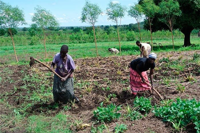 Mujeres trabajando en Uganda