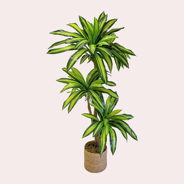 planta artificial dracena amazon