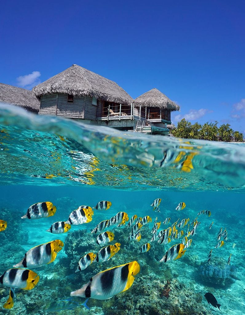 tuamotu over water bungalows