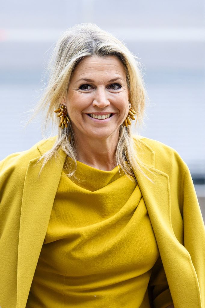 Máxima de Holanda look