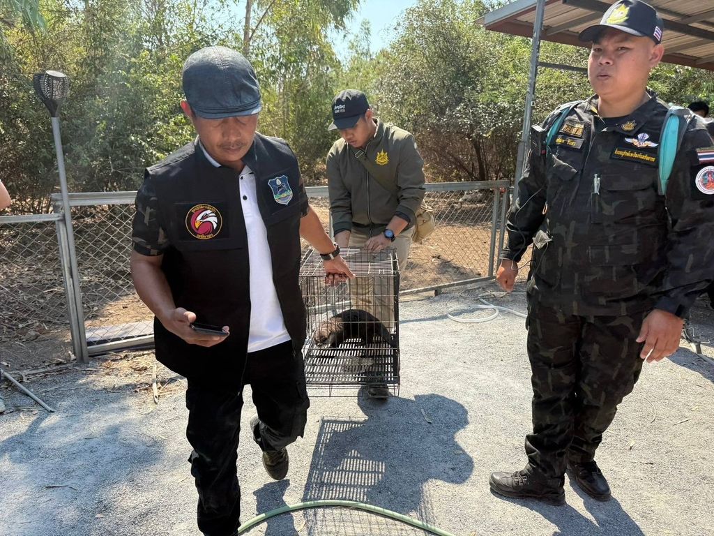 Frank Cuesta, detenido en Tailandia por posesión ilegal de animales protegidos