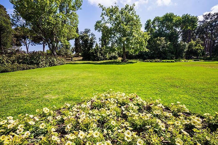 Jardín con pradera en pendiente