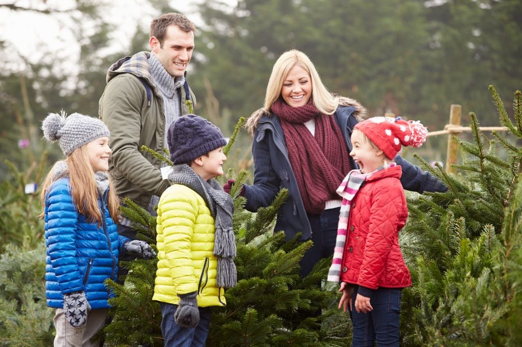 Familia eligiendo un abeto en Navidad