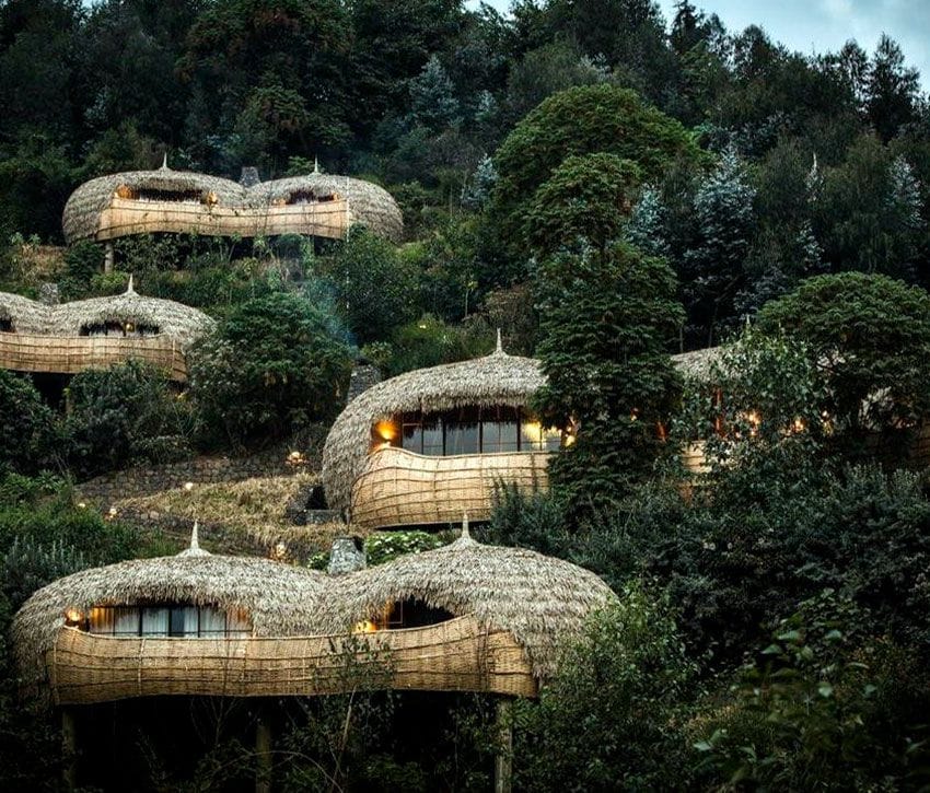 bisate lodgehoteles ecologicos