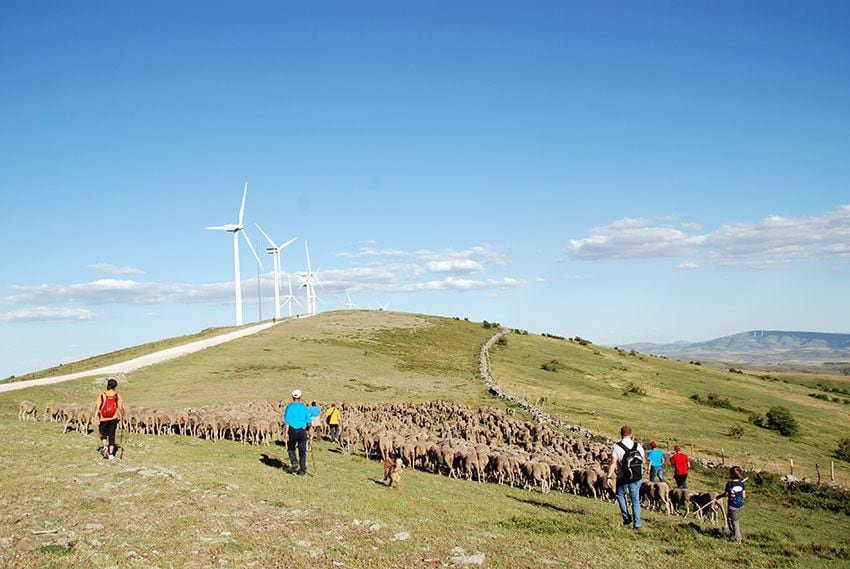 TRASHUMANCIA-Soria_a