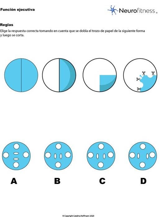 Ejercicio función ejecutiva