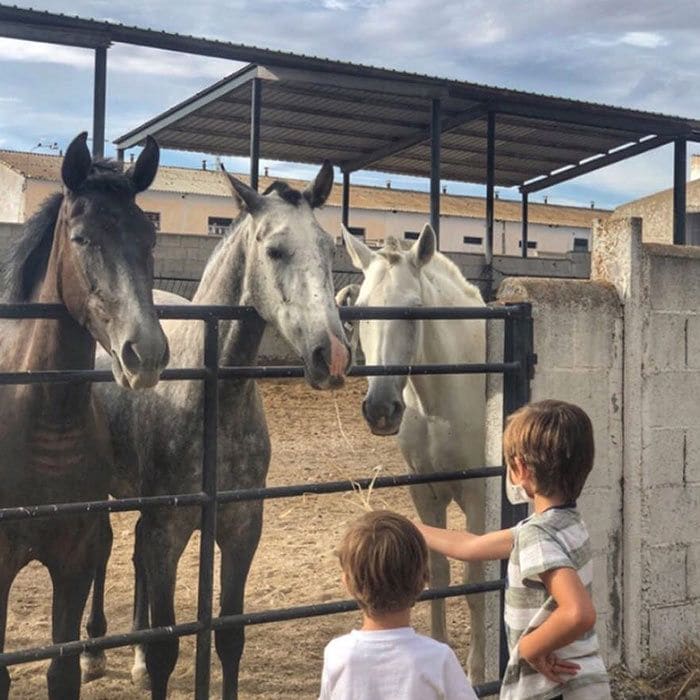 Sara Carbonero y sus hijos