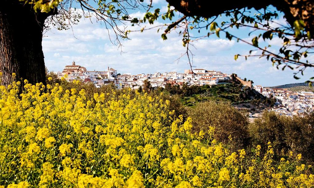 Córdoba Viajes