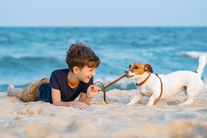 perro jugando con niño en la playa