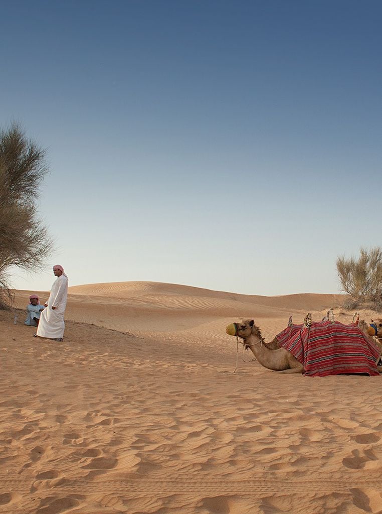 Actividades en el desierto de Dubai