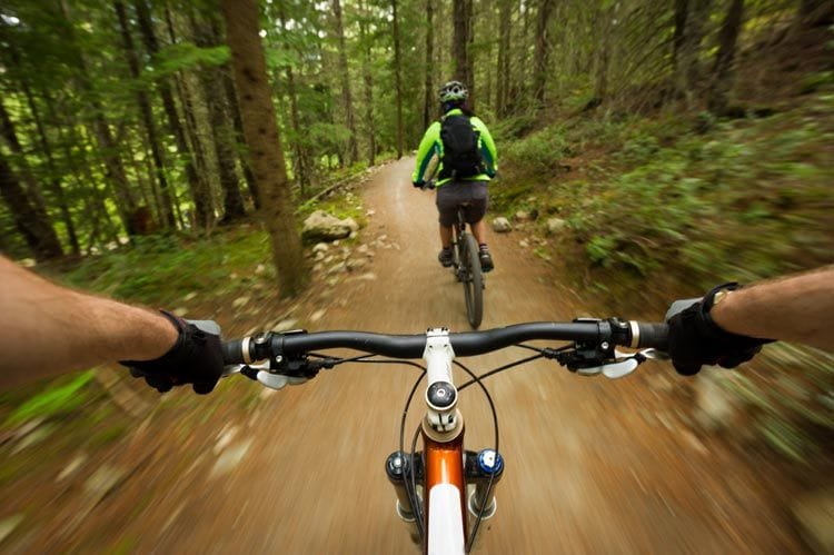 Dos ciclistas por una ruta de montaña