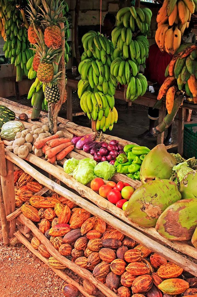 samana frutas cocos gastro