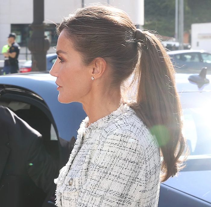 La supermelena de la reina Letizia