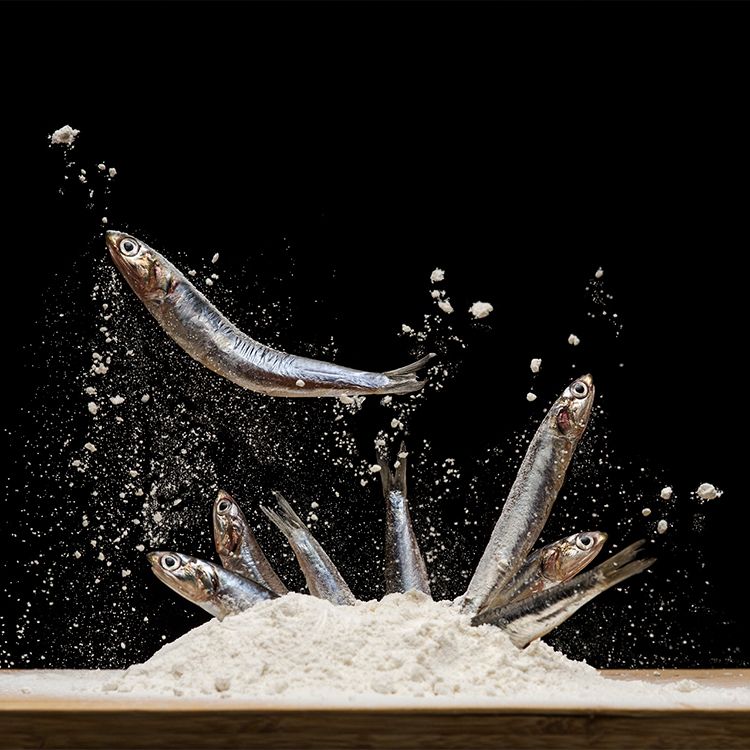 Anchovies in flour