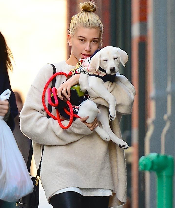 hailey_baldwin_perro_1a