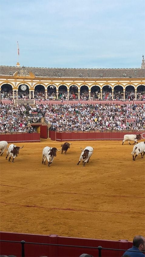 La infanta Elena y su hija reaparecen en Sevilla tras visitar a don Juan Carlos en Abu Dabi