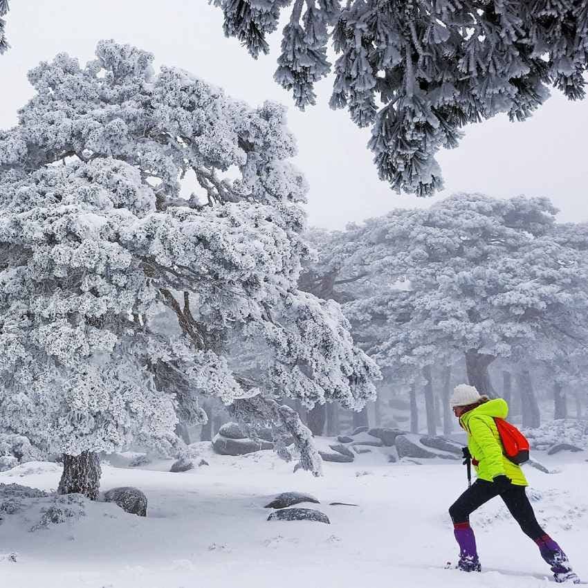 raquetas de nieve en el camino schmid entre madrid y segovia