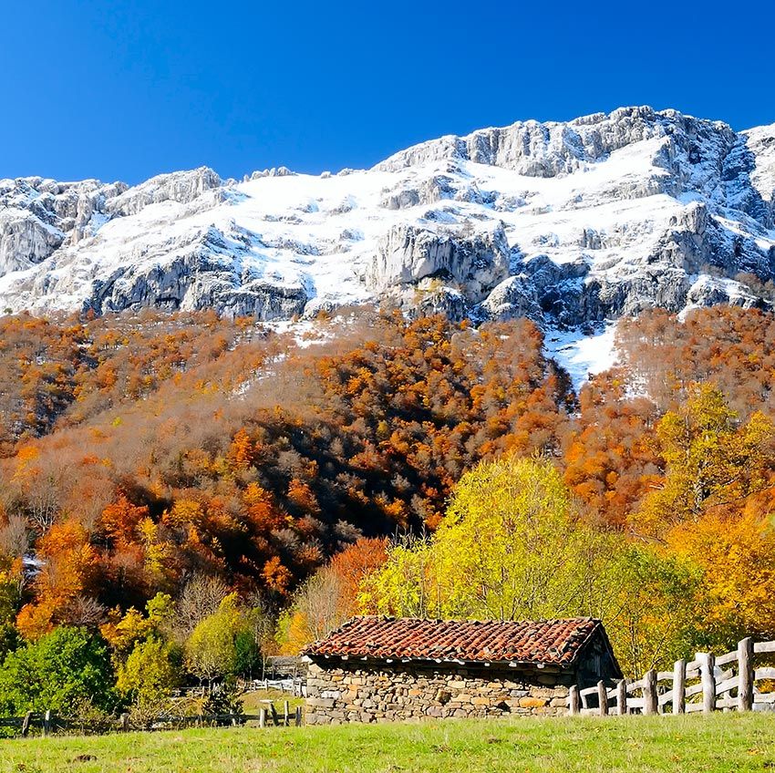 redes asturias