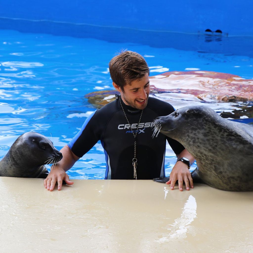 marineland mallorca mallorca espa a 