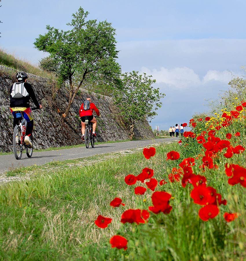 via-verde-cordoba-flores-subetica