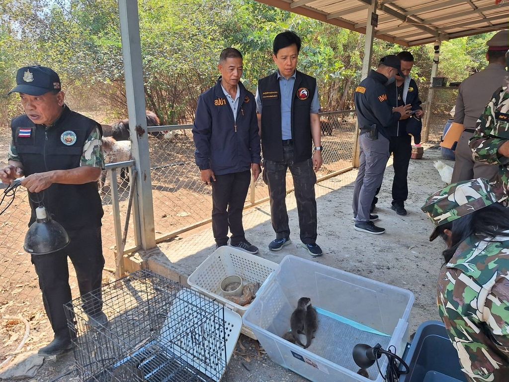 Frank Cuesta, detenido en Tailandia por posesión ilegal de animales protegidos