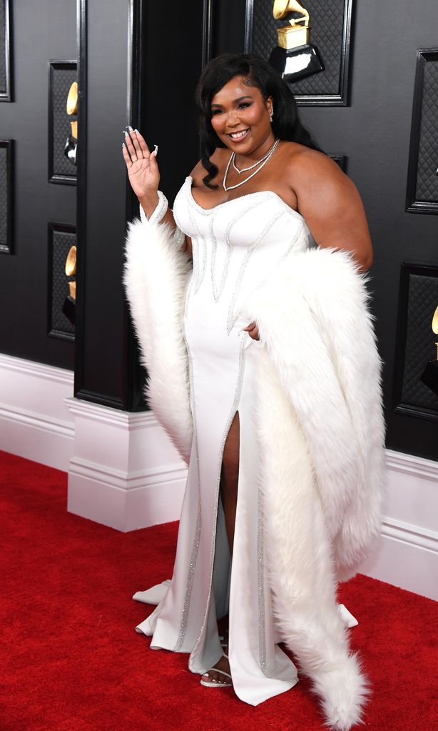 62nd Annual GRAMMY Awards – Red Carpet