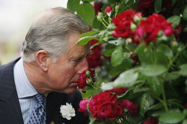 El príncipe Carlos en uno de los jardines de Highgrove, en donde el estilista Daniel Galvin ha encontrado inspiración gracias al amor que muestra el heredero británico por la naturaleza y por el cuidado del medio ambiente.
