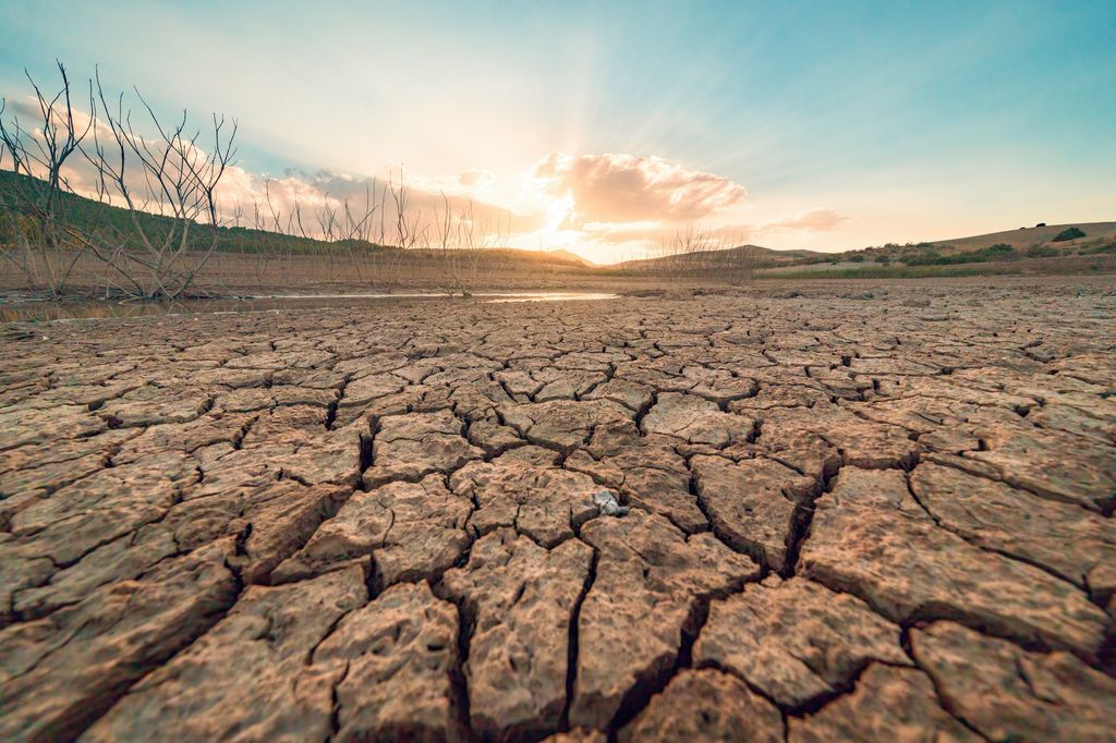 La generación beta se enfrentará a los retos del cambio climático