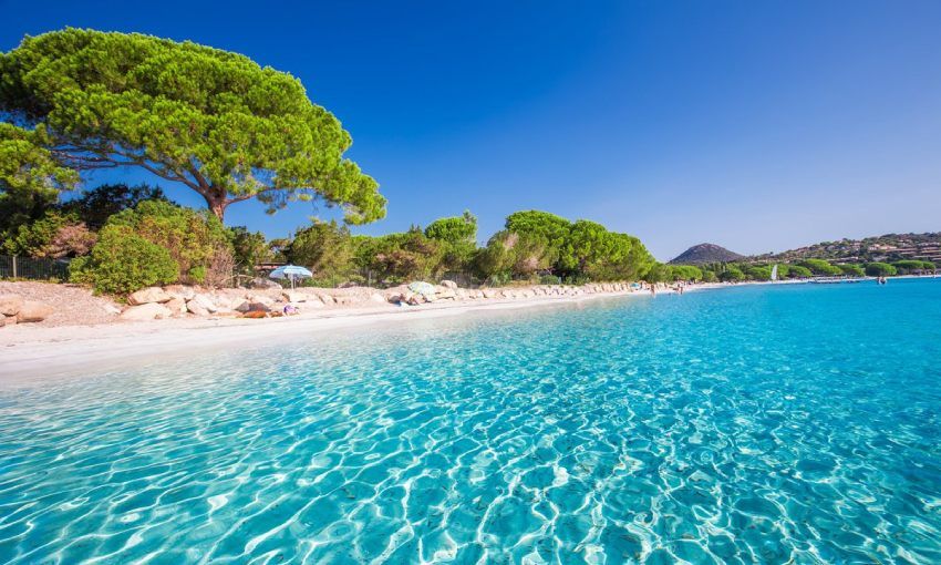 hermosa playa de arena de santa giulia con pinos y agua clara azulada corcega francia