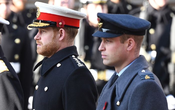 Guillermo y Harry de Inglaterra