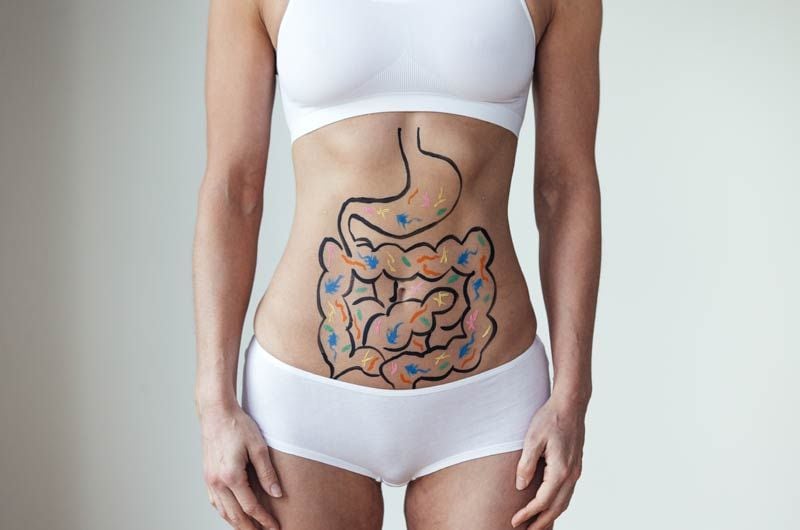 probioticos vientre