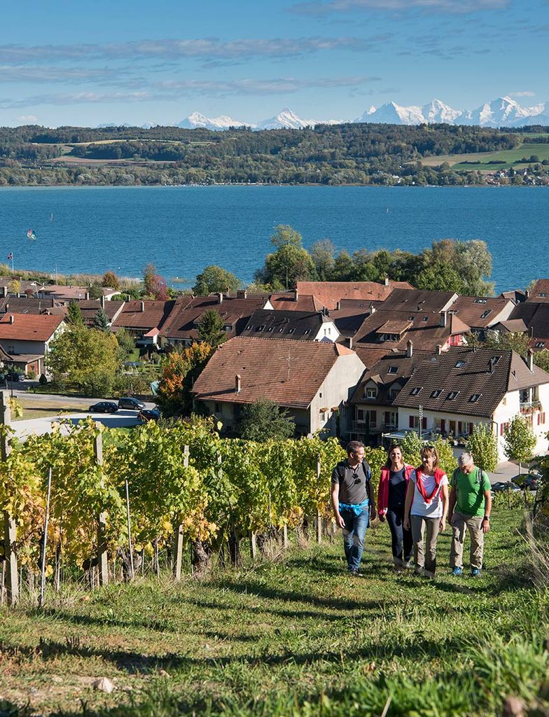 Región vinícola de Vully, Suiza