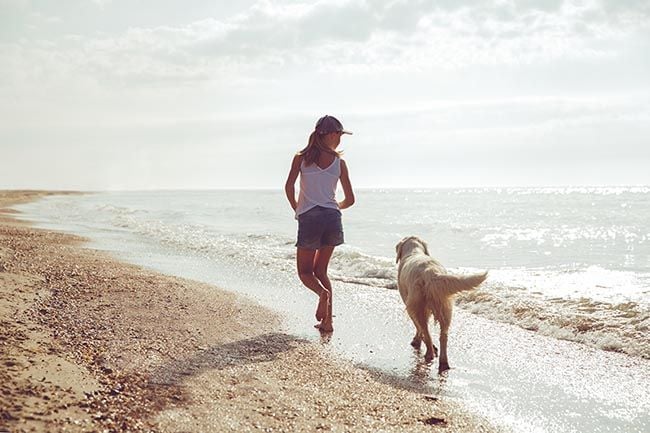 Razas de perros para amantes del running