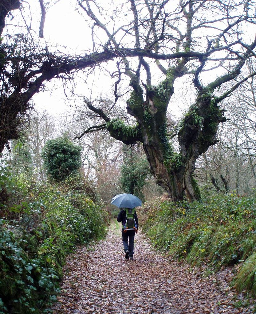 Camino de Santiago 2a